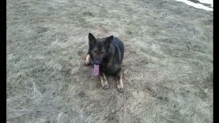 Jack