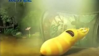 Larva - prdy