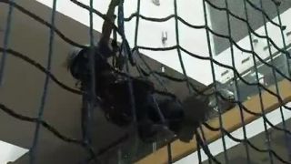 Malý horolezec