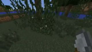 Minecraft [prezi6]