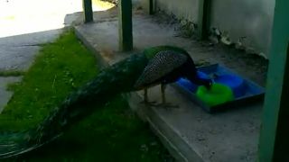 ZOO KOŠICE 1
