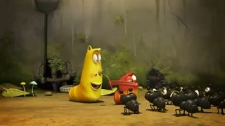 Larva - mravce