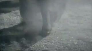 Cradle of Filth - Her Ghost in the Fog