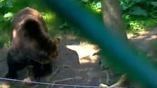 ZOO KOŠICE ČASŤ3
