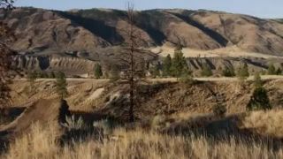 Downhill/Freeride/freestyle