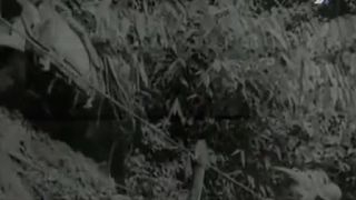 Merrillovi záškodníci (dokument)