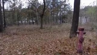 Posledná mobilizácia luftwaffe (Dokument)