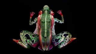 Tropická žaba - Johannes Stötter bodypainting