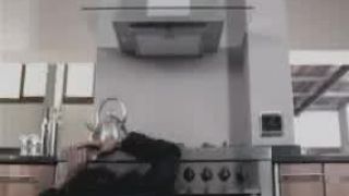 I ženy majú svoje dni