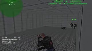 Counter strike lego camping