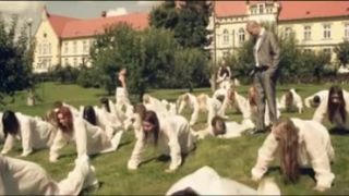 Ektor feat Dj Wich - Number one
