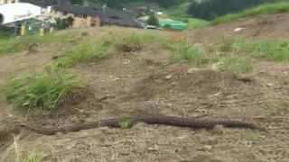 Donovaly ride cup 2009 MtB Downhill