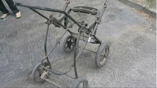 Trebišovský Asociáli