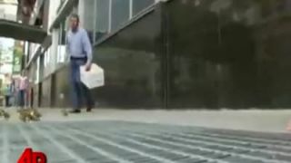 Kačičky v centre mesta