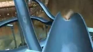 Hra Roller Coaster Tycoon 3 Soaked