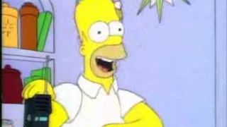 Skanksonovci-Homer hraje Medžiky