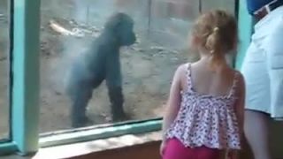 Opička a dievčatko v zoo