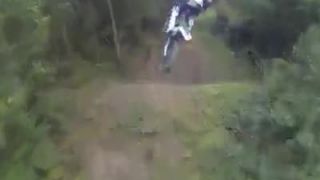 FMX pomedzi stromy