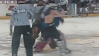 Bitka v hokeji