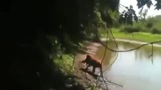 Šťastný deň na rybáčke