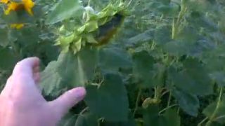 Biela mágia