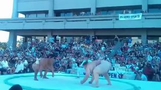 Sumo zapasníci