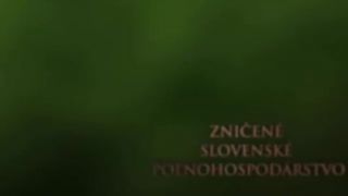 Slovensko2013
