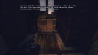Amnesia: A Machine for Pigs
