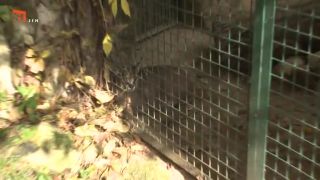 NA ŠPACÍRU - ZOOPARK ZÁJEZD