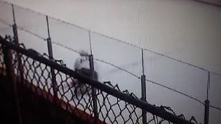 Ugly hit 2013