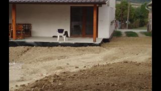 Úprava dvora