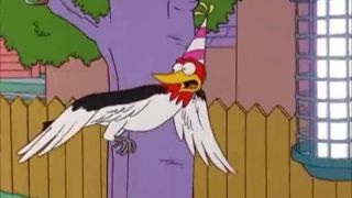 Simpsonovci - Jak chytit jezevce