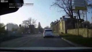 Pes na prechode