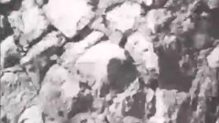 The Mummy's Dream - Takashi Ito