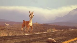 Caminandes - krátka animácia