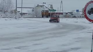 Poľský domáci autopluh