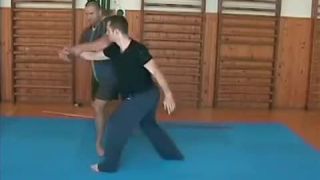 Systema tigra - prezentácia