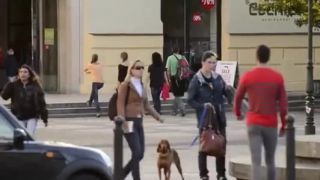 Paranoja v uliciach