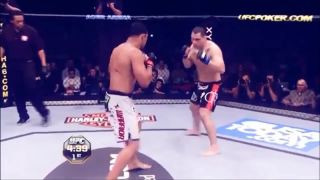 CAIN VELASQUEZ 2013