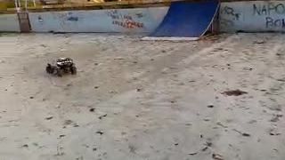 RC honcho 4x4