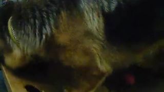Holly Půlnoční měsíc a přirozená hra