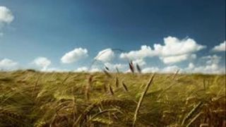 Chris Norman - The Summer Wind - D.M.V. - Production