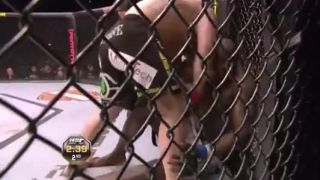 Cain Velasquez vs. Cheick Kongo 2009