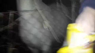 Kôň si pochutnáva na chipsoch