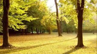 Roger Taylor - Sunny Day - D.M.V. - Production