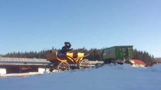 120 koni v zaprahu