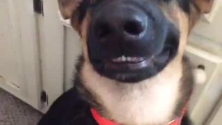Smile......Smáááájlllllllll