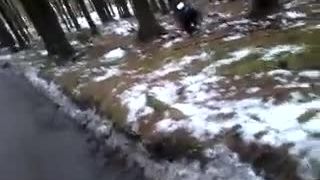 Magnum mega vs plechovka