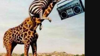 Dj Džema Ragga Jungle 2