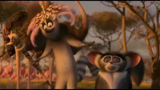Pískač z Madagaskaru